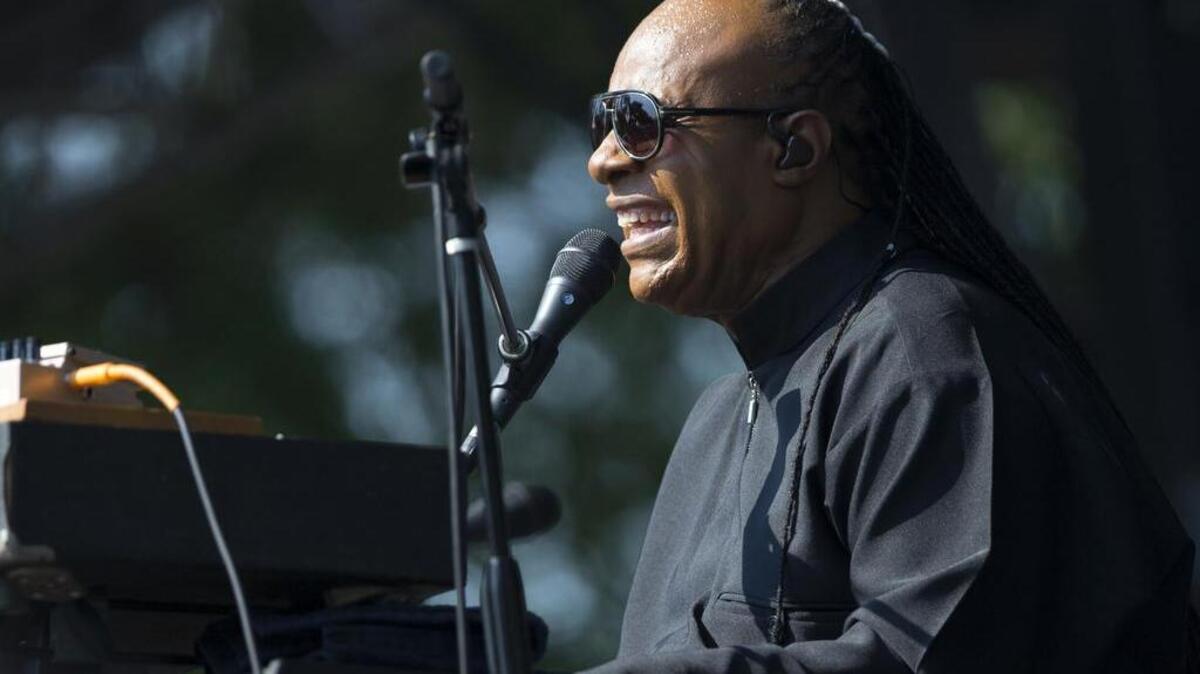 Musician Stevie Wonder