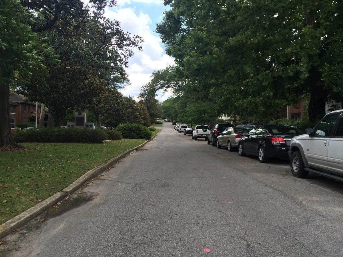 The Saluda Street hill at mile 9 is .3 miles long.