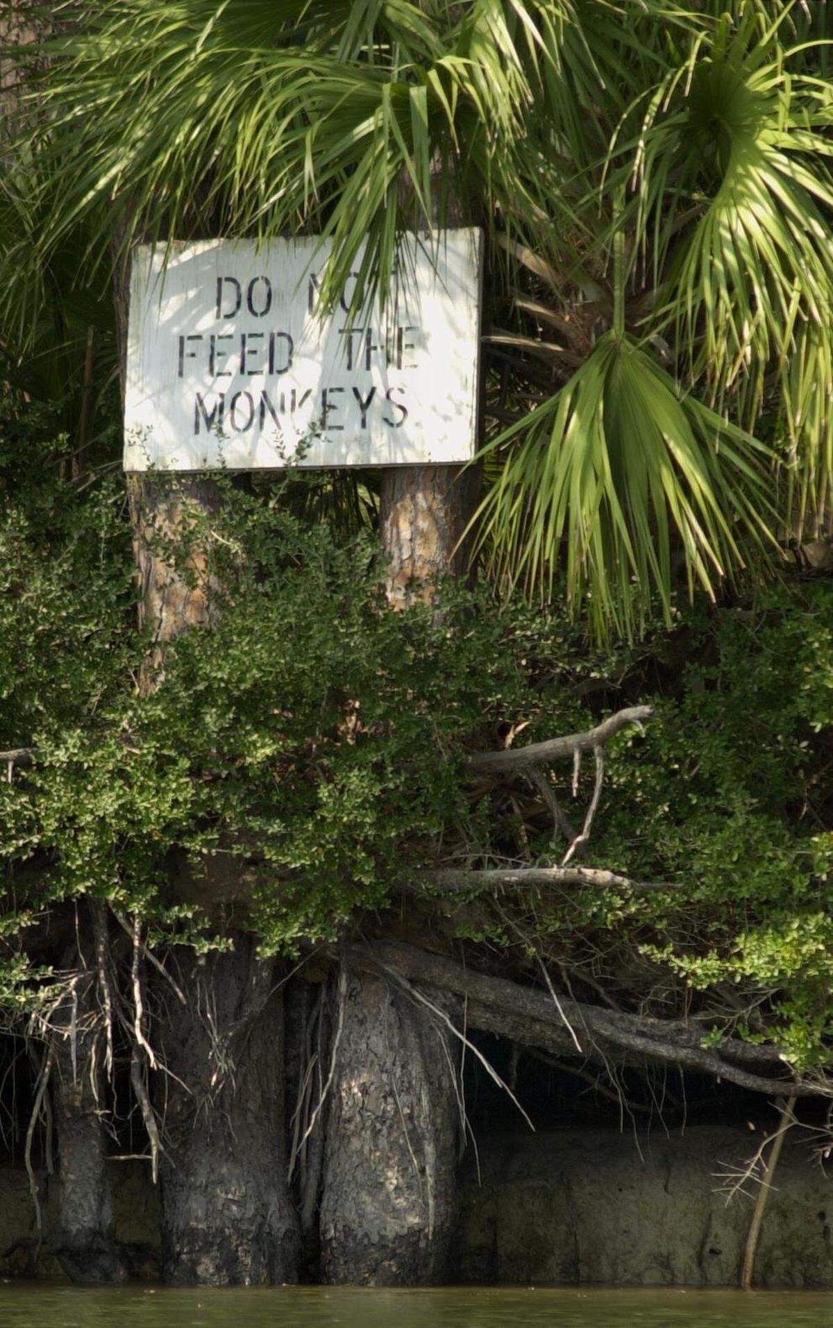 Signs around Morgan Island, off the South Carolina coast near Beaufort, warn boaters not to feed the monkeys or trespass.