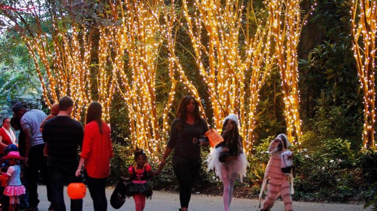 Boo at the Zoo opens Friday at Riverbanks.