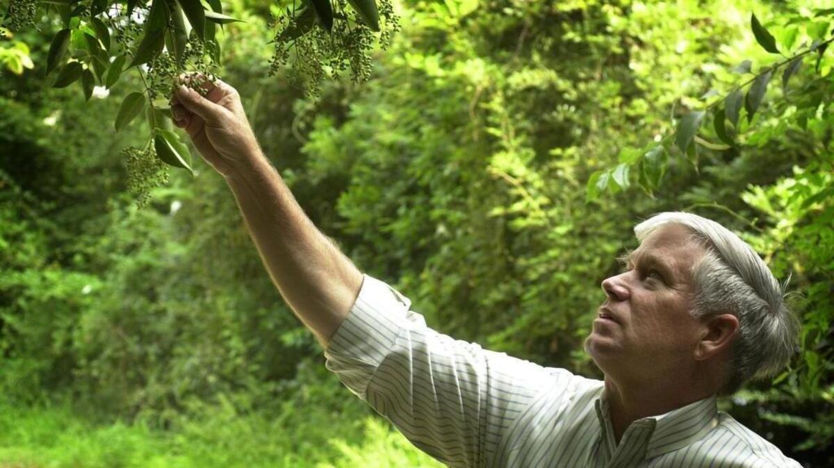 University of South Carolina’s naturalist-in-residence Rudy Mancke was widely regarded for his knowledge of the state’s environment.