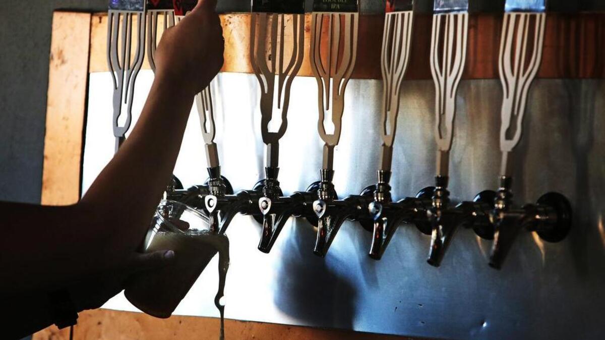 
River Rat Brewery
