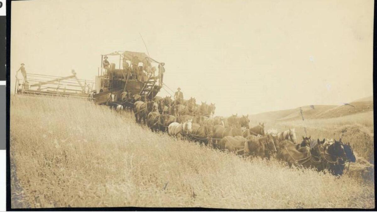 A combine harvester in Washington state.