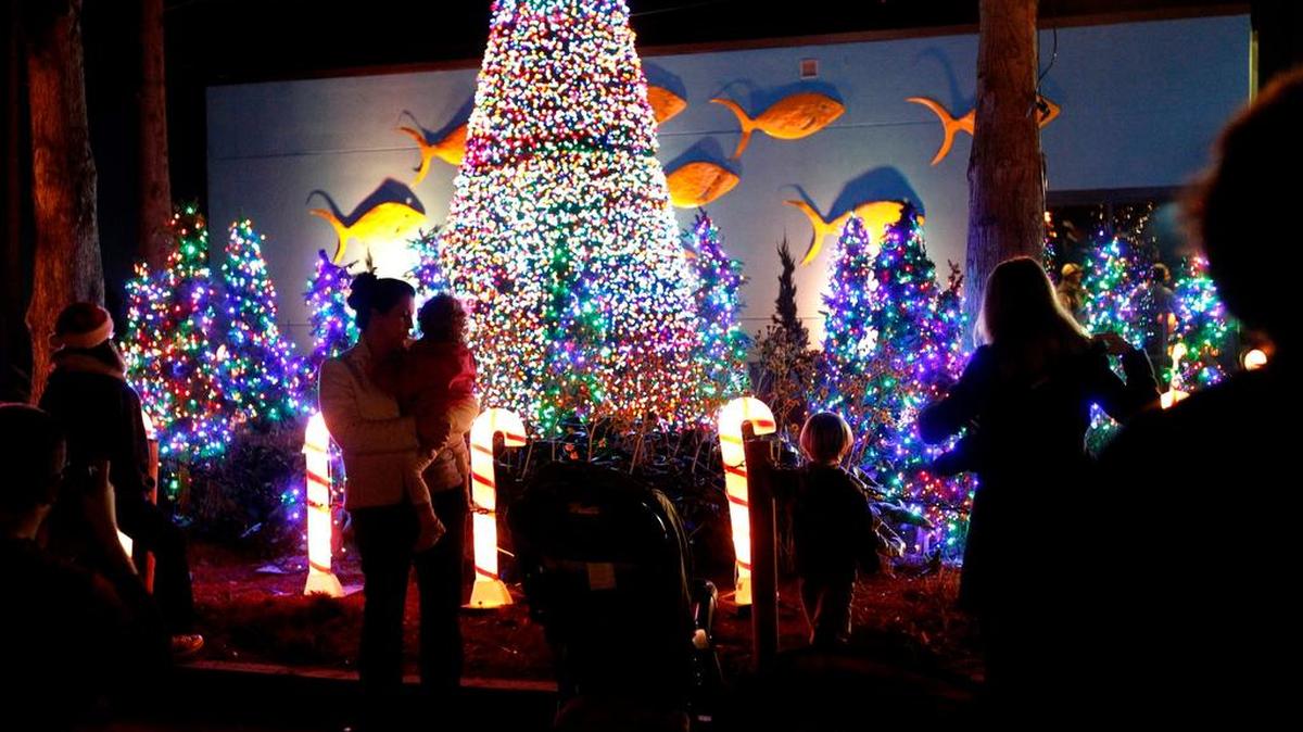 Exhibits all aglow at Riverbanks Zoo.