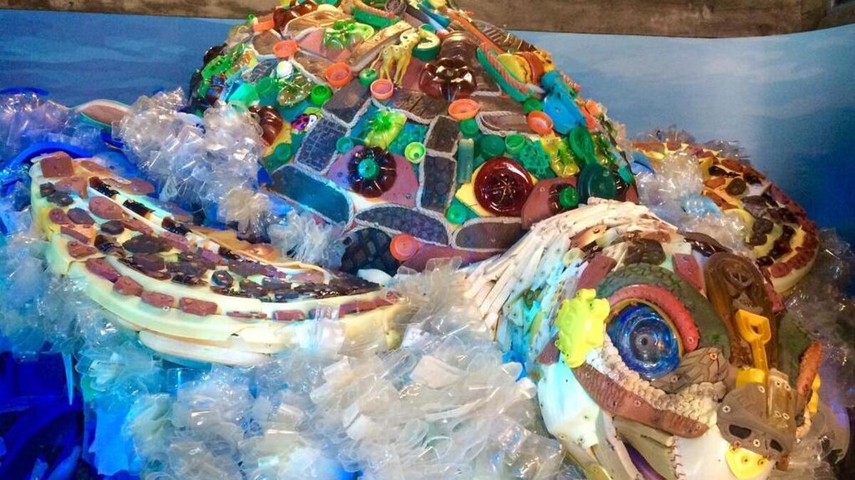 Riverbanks Zoo’s newest exhibit, Sea Lion Landing, includes a sculpture of a sea turtle made entirely of garbage found in the ocean.