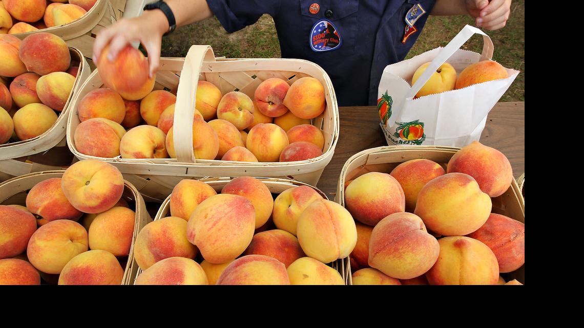 
Festival goers line up to buy peaches from Cubscouts Pack 60 of Gilbert. The 54th annual Lexington County Peach Festival was held Wednesday at Gilbert Community Park on the Fourth of July. The festival included the Peach Queen Pageant, a peach parade, live entertainment, an art contest, antique car show and a fireworks display in the evening.
