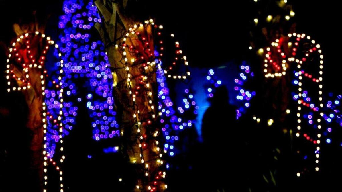 Lights Before Christmas at Riverbanks Zoo opens this week.