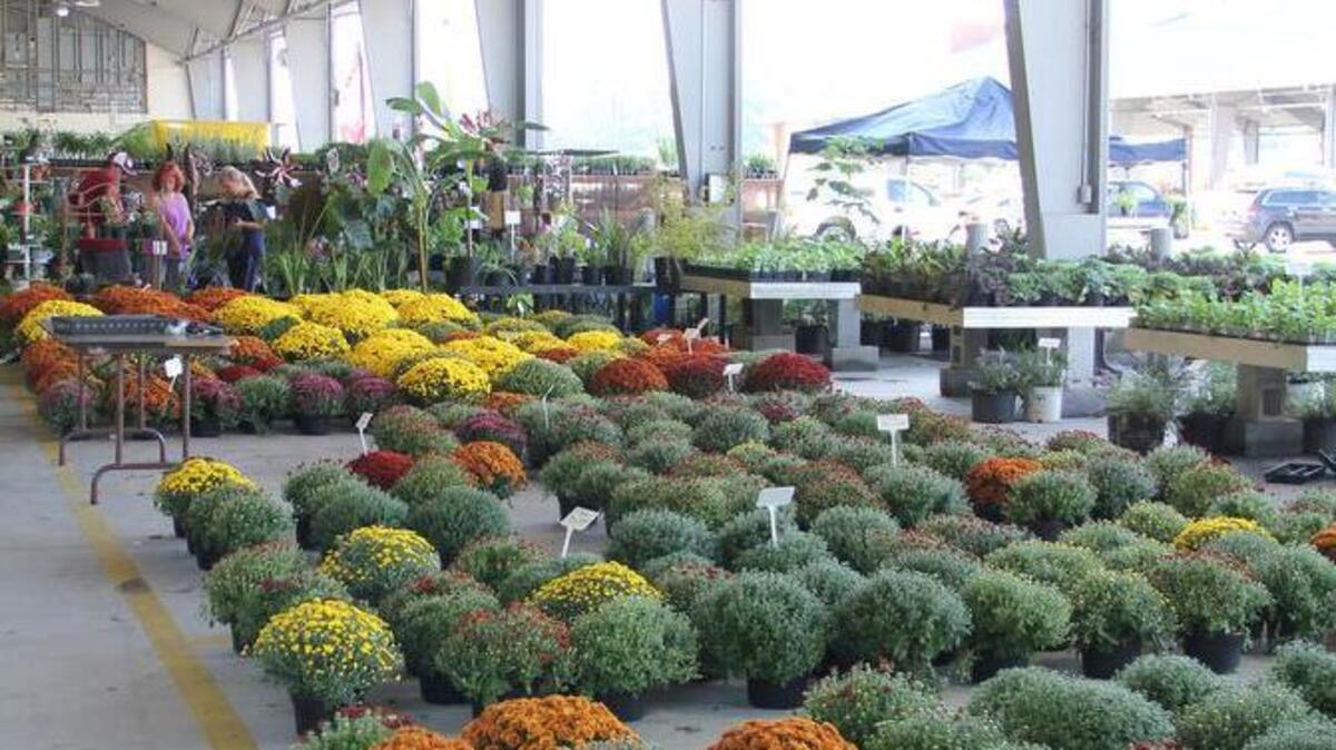 Master Gardeners will offer gardening advise.