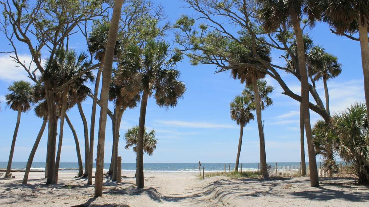 North Beach, Hunting Island State Park