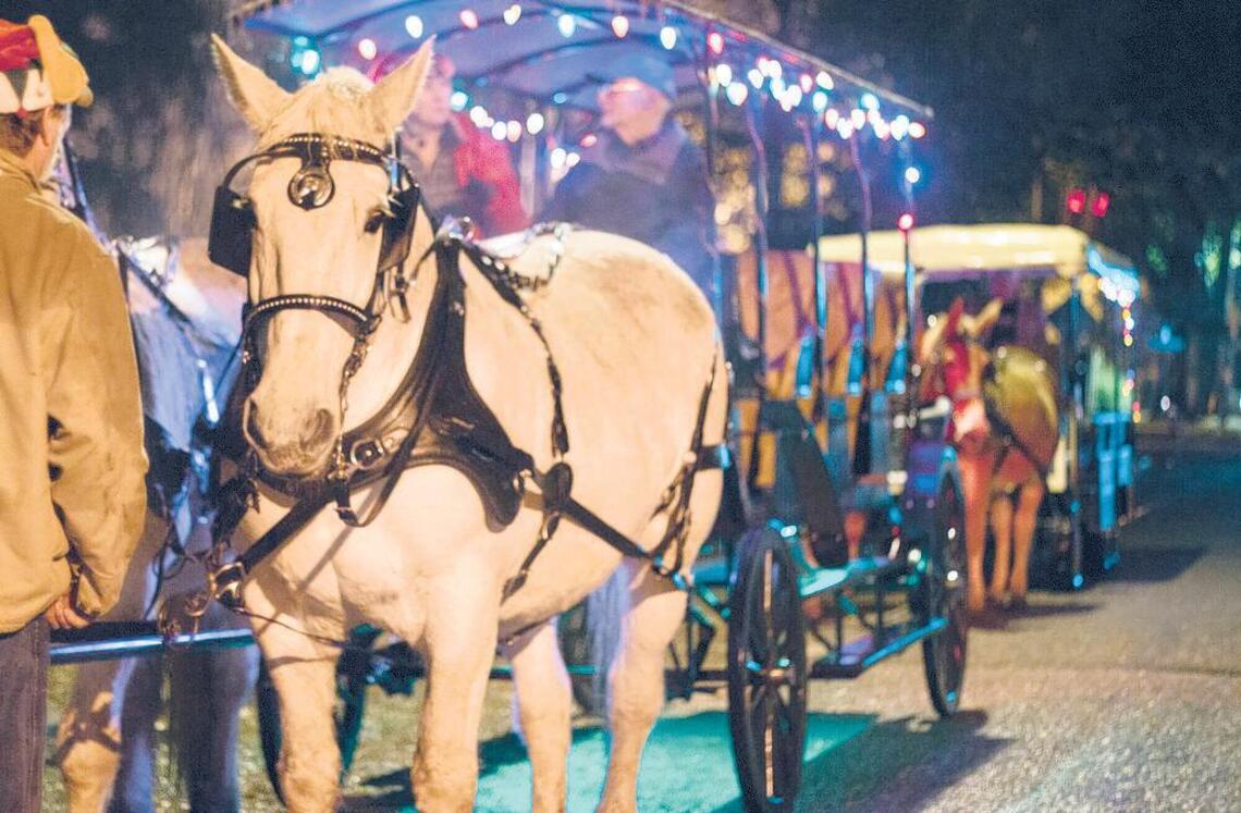 HISTORIC COLUMBIA Holiday Fun