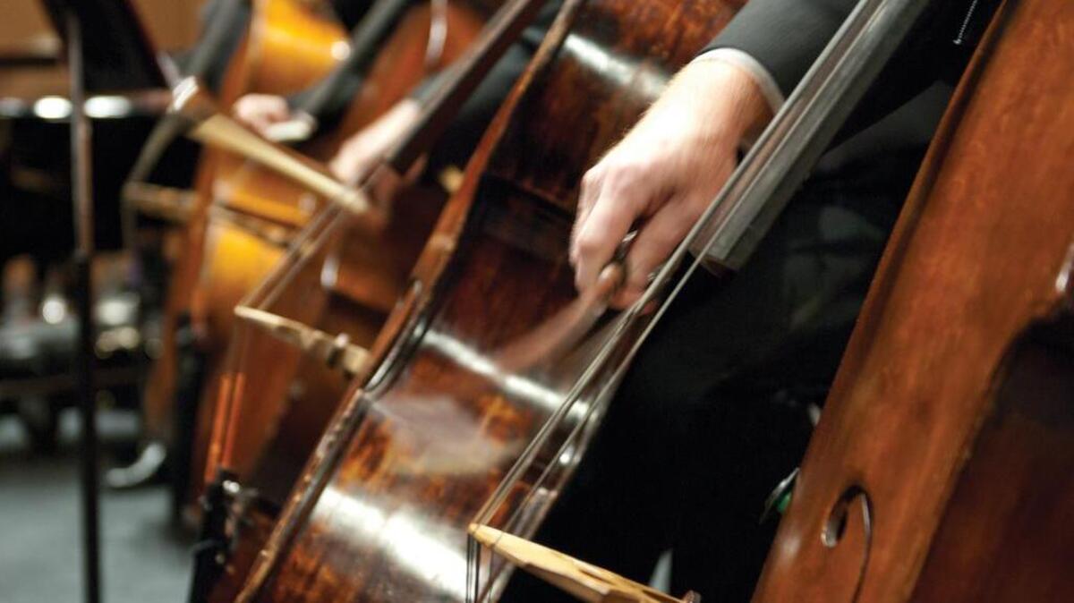 The S.C. Philharmonic Orchestra presents Beethoven & Blue Jeans at Koger Center