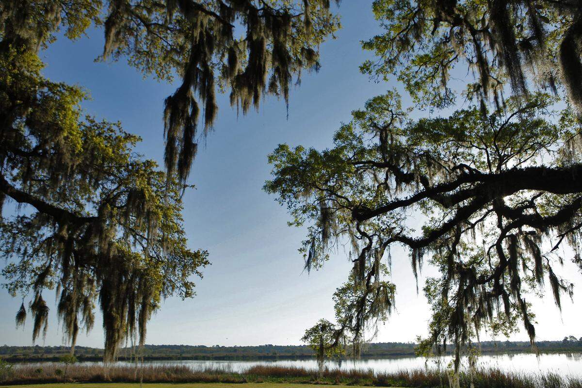 Live oaks frame former rice fields at Mansfield Plantation in Georgetown. The plantation house is now a bed and breakfast.