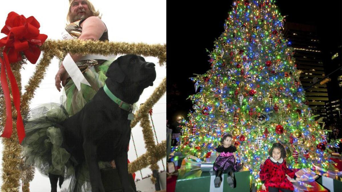 Which would you rather: Boykin Christmas Parade or Governor’s Carolighting? Make your choice in the online bracket.