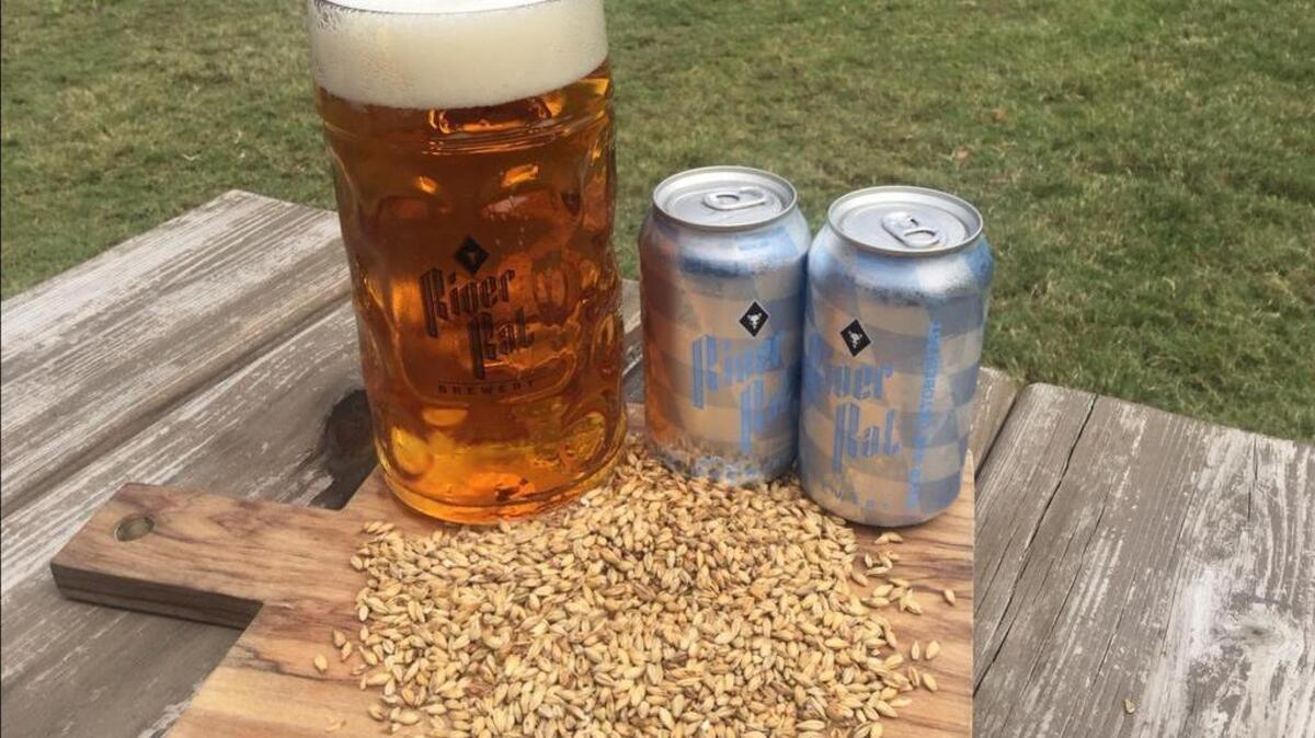 River Rat’s Oktoberfest, in a commemorative stein and in cans