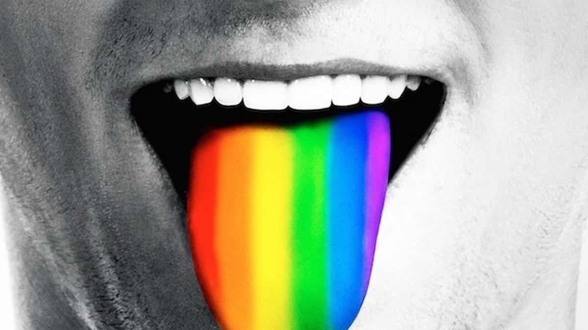 
“Do I Sound Gay” poster image
