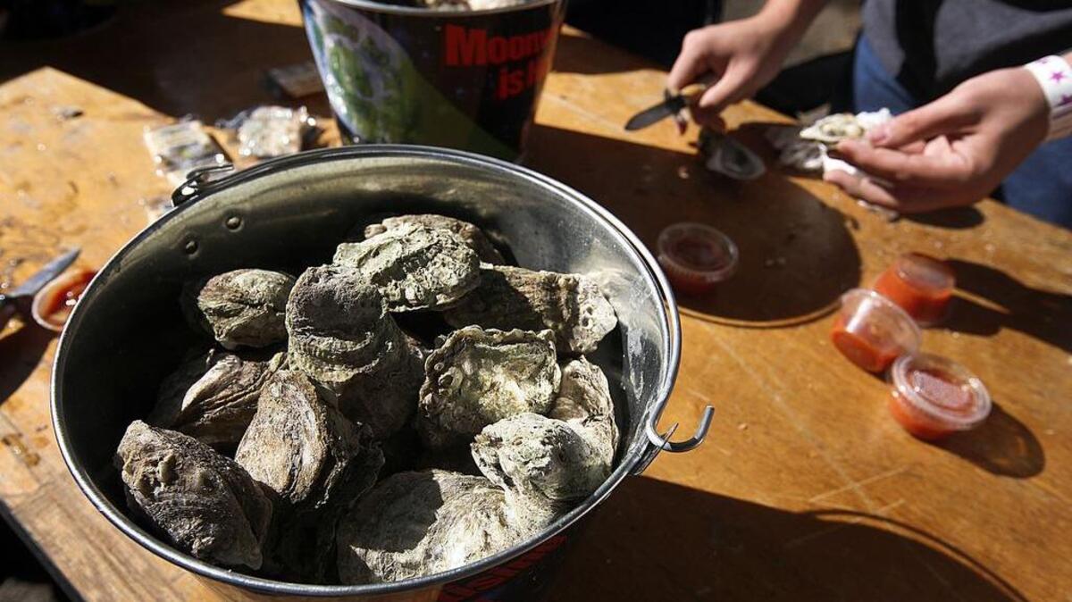 The South Carolina Oyster Festival is Sunday on the grounds of the Robert Mills House and the Hampton-Preston Mansion.