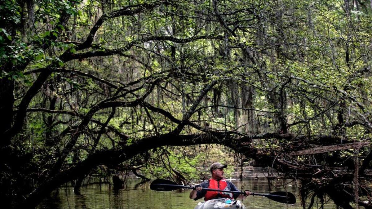
Congaree National Park is open again after Oct. 4 flooding.
