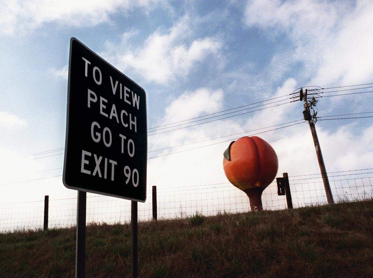You can take a selfie with the Peachoid — aka the Gaffney water tower — but you can’t get too close. The public works department installed a fence a few years ago.