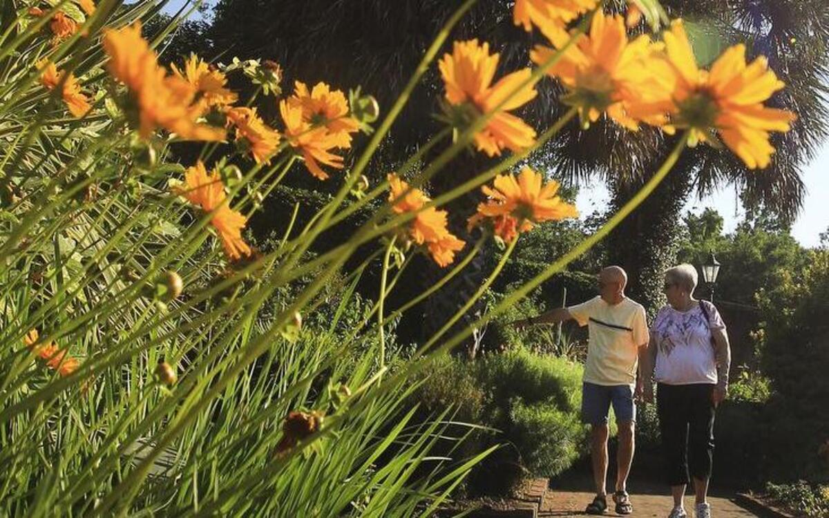 
Scenes from the Riverbanks Botanical Garden's 'Rhythm and Blooms, Music and Art in the Garden' series held every Thursday evening in May.
