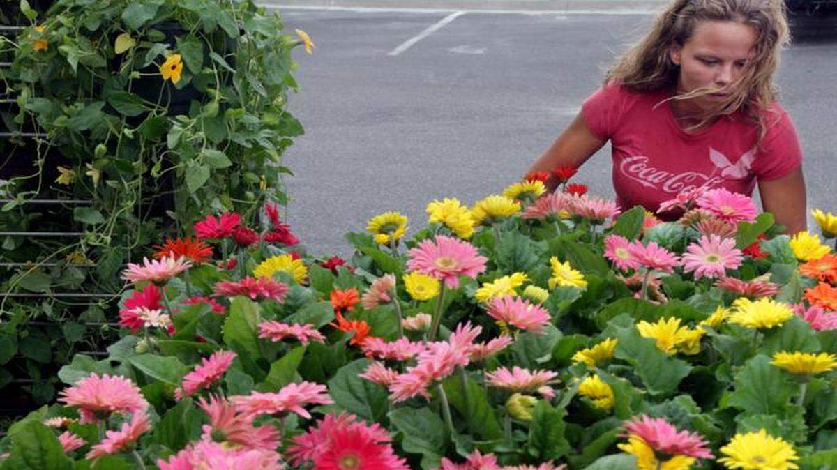 
Quality Plants' Kim Houser
