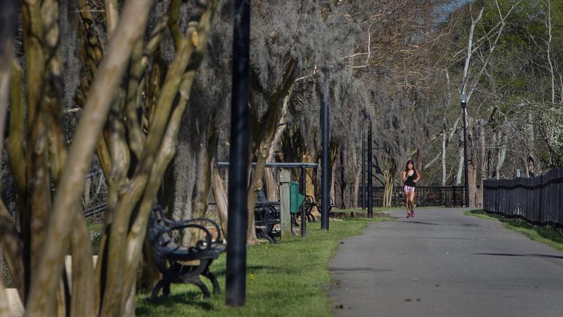 A tree-lined walking trail at Riverfront Park.