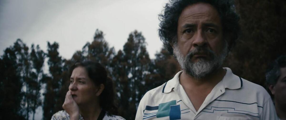Catalina Saavedra and Luis Dubó appear in “And the Whole Sky Fit in the Dead Cow’s Eye” by Francisca Alegría, an official selection of the Shorts Programs at the 2017 Sundance Film Festival.