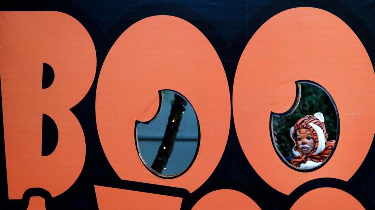 Boo at the Zoo