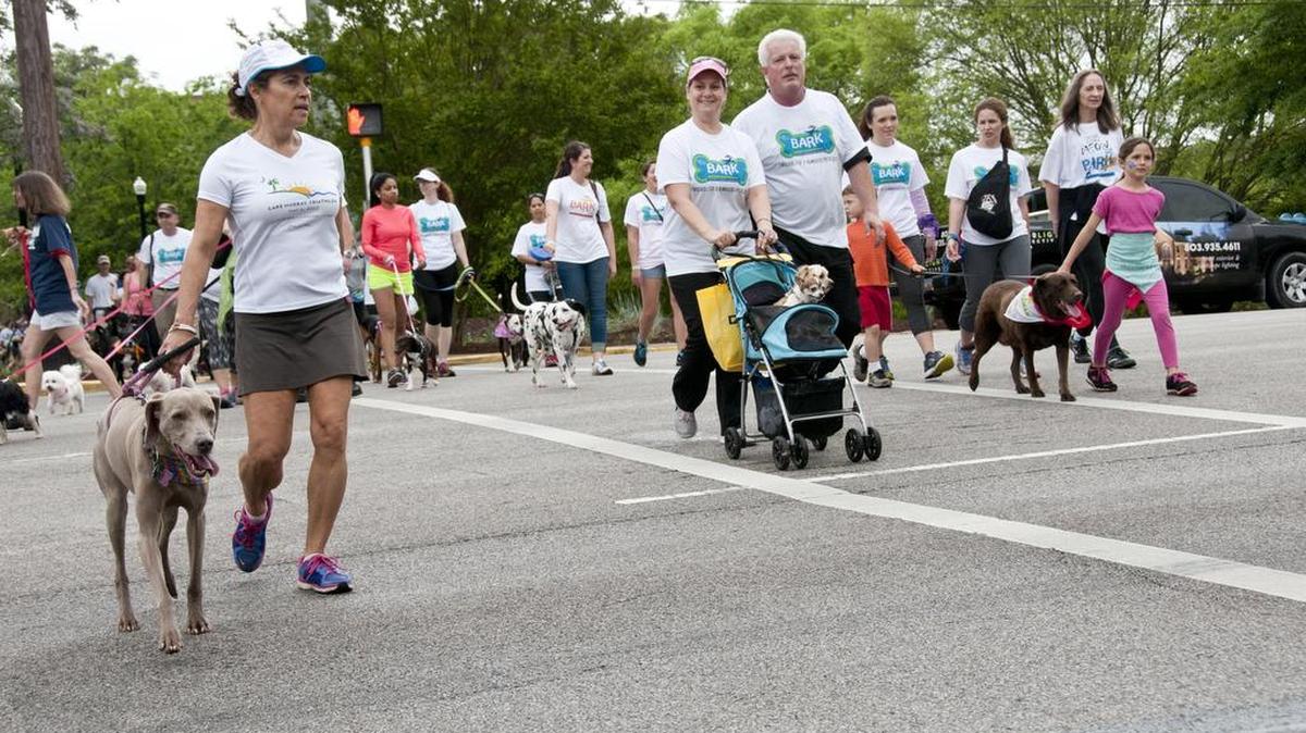 Canine lovers cross Taylor Street into Finlay Park with their four-legged friends at the annual Bark to the Park fundraiser.