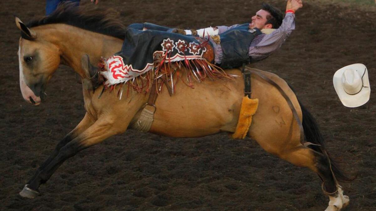 
The Blythewood “Doko” Rodeo at Blythewood Community Center Park featured live music, food, mechanical bull riding and an array of rodeo events including bull riding.
