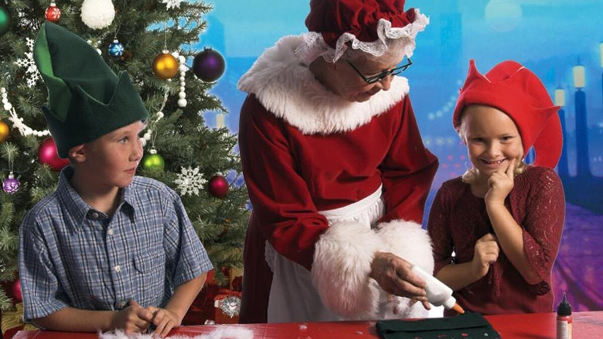 Winterfest at the S.C. State Museum