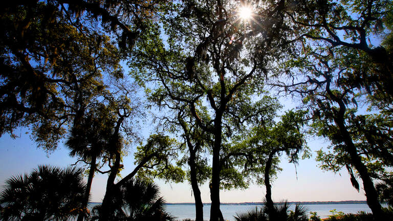 Ballots to be transferred via helicopter from Daufuskie Island on election night