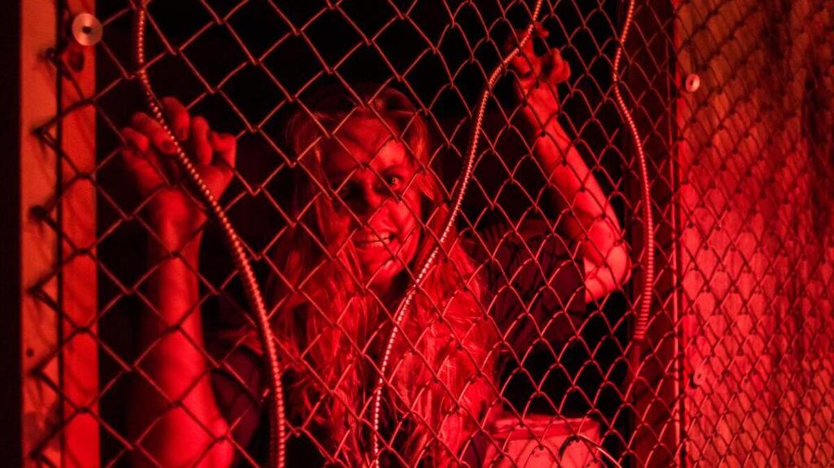 Hall of Horrors in Cayce