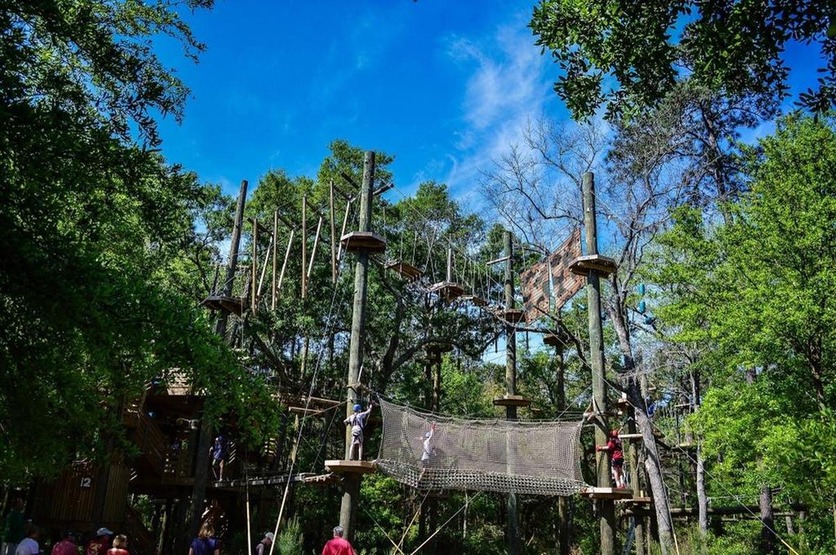 Zipline Hilton Head and Aerial Adventure Hilton Head