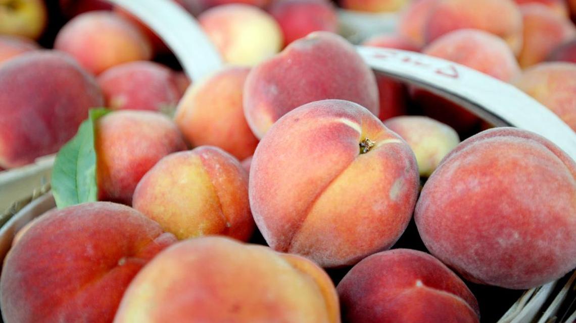 Why a SC peach farm won a $10M COVID-19 contract