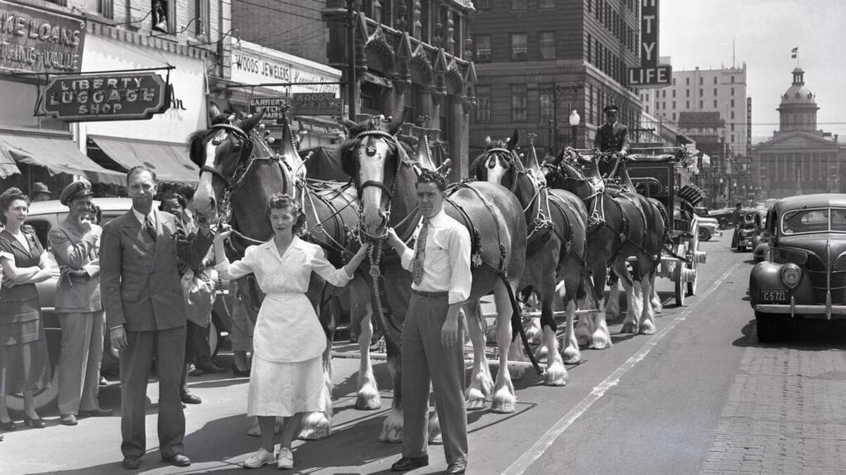 An image from “Remembering Columbia:” The Anheuser-Busch Company Clydesdale team visits Columbia’s Main Street during Budweiser Week in the spring of 1949.