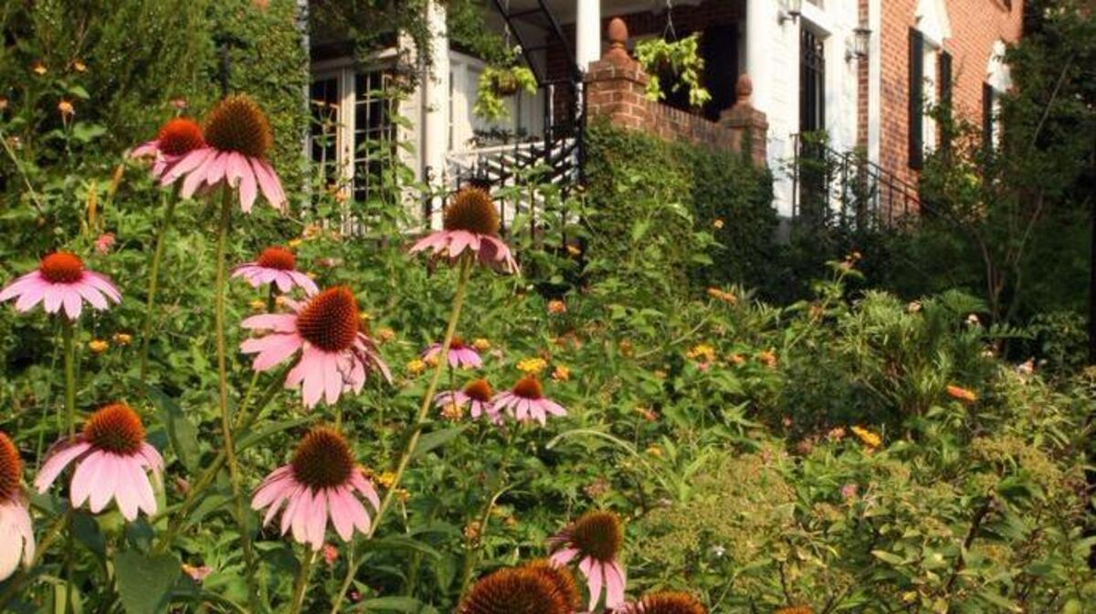 
Participants will look into history of local neighborhoods like Wheeler Hill, shown here.
