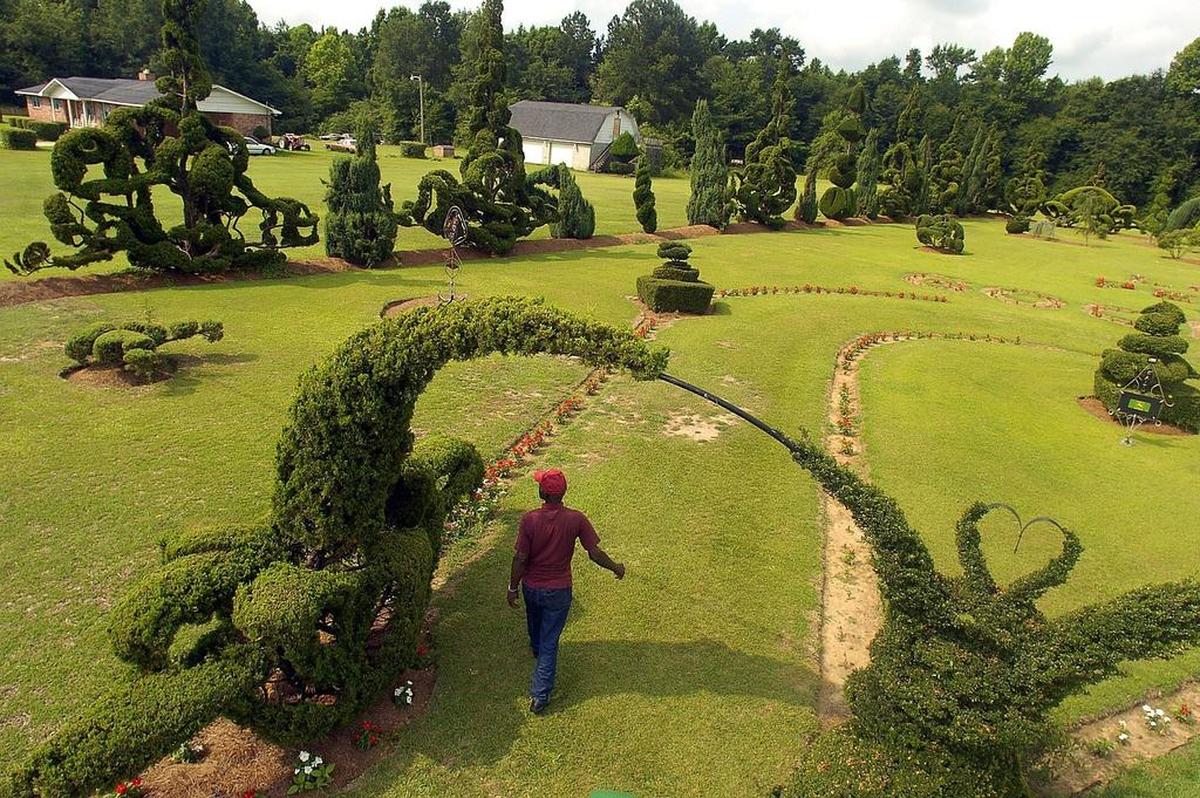 Pearl Fryar’s Topiary Garden stretches out over 3 acres in Bishopville.