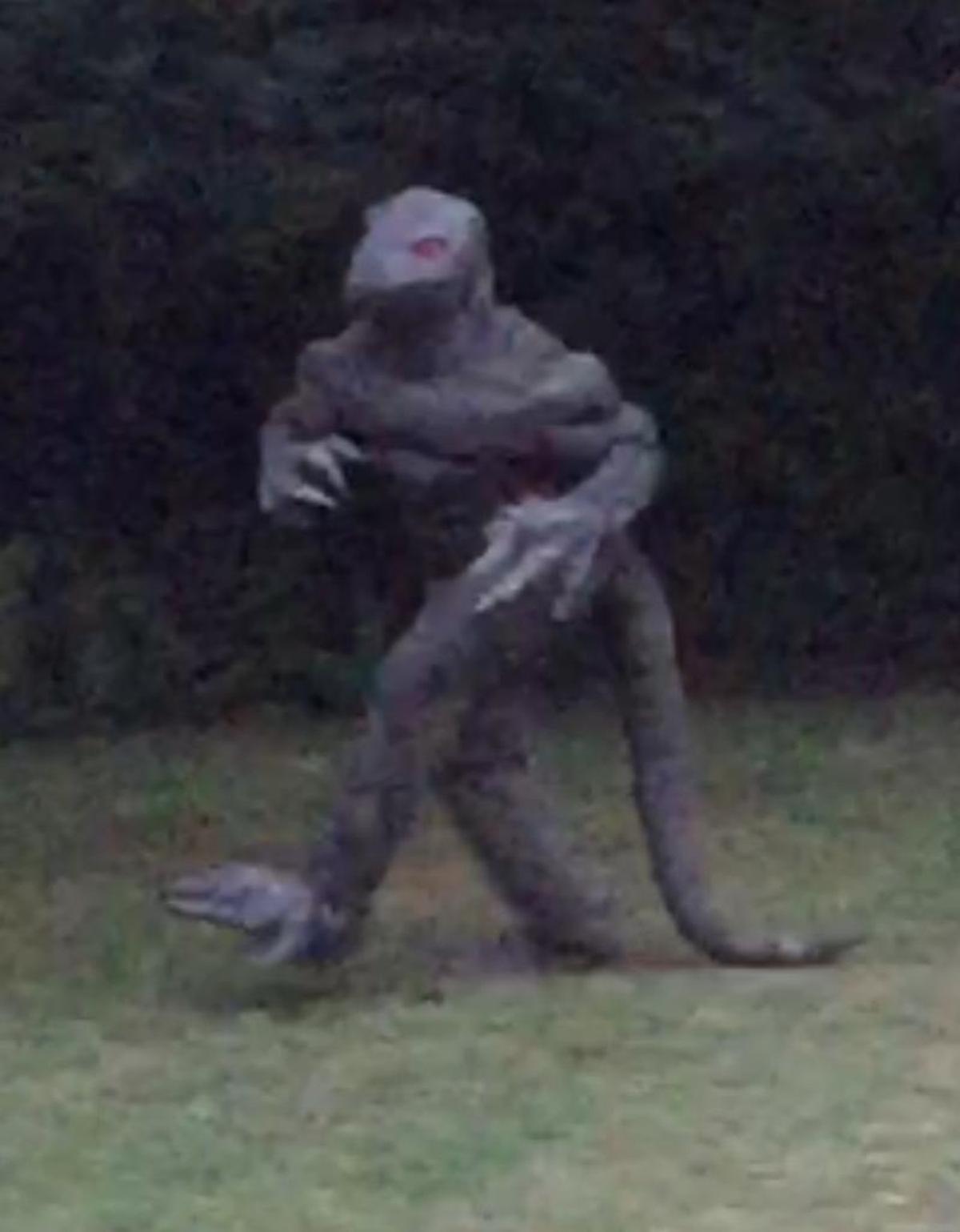 The last known photo of the legendary 'Lizard Man' of Scape Ore Swamp was purportedly taken and submitted by a Sumter Item reader in August 2015 walking along a treeline near Bishopville.