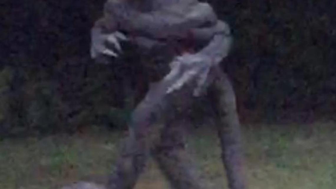 The last known photo of the legendary 'Lizard Man' of Scape Ore Swamp was purportedly taken and submitted by a Sumter Item reader in August 2015 walking along a treeline near Bishopville.