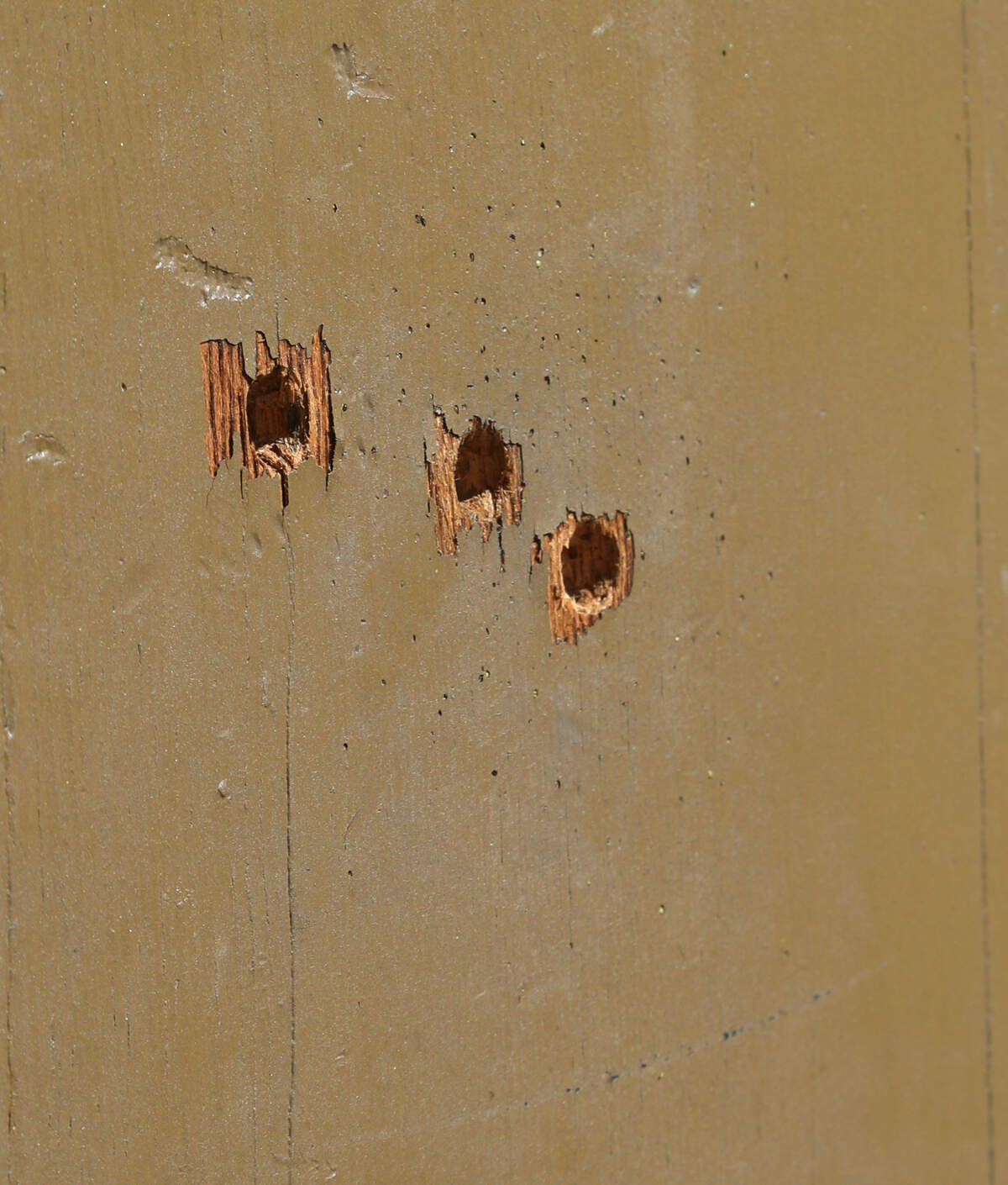 Three bullet holes are seen in the door of an apartment in the 400 block of Deerwood Street where a 17-year-old was shot and killed. 10/29/18