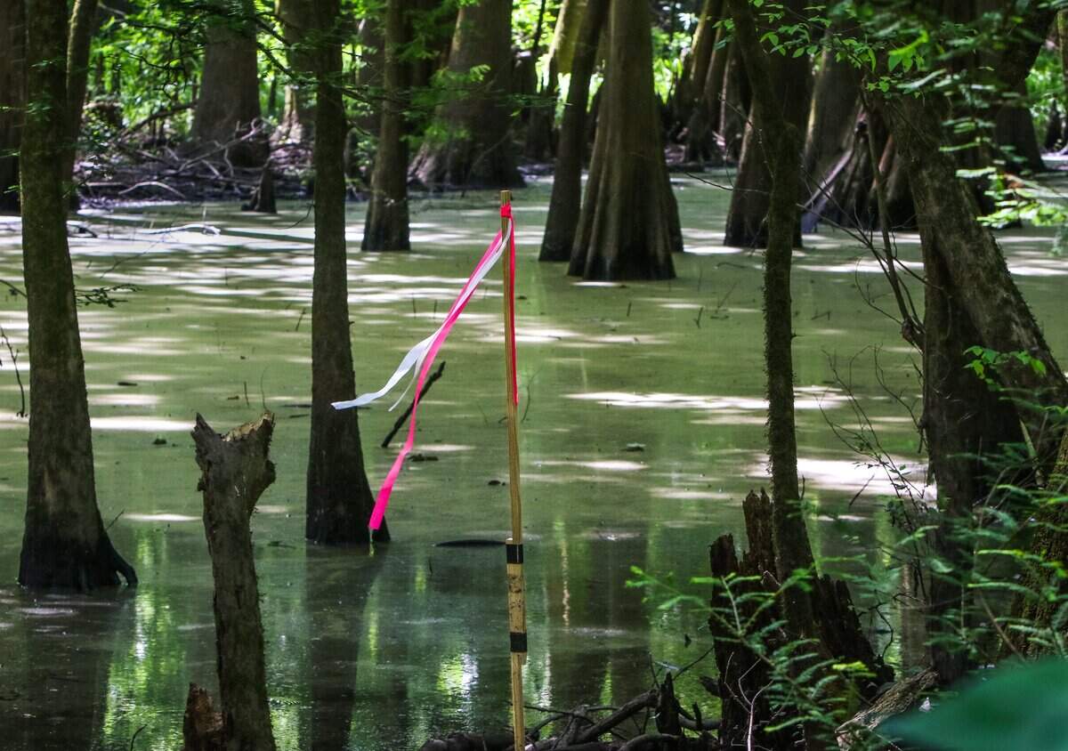 Pipelines that carry oil and natural gas can cause intense opposition among people who don’t want pipes on their land. A new natural gas pipeline is now planned for the Lowcountry.