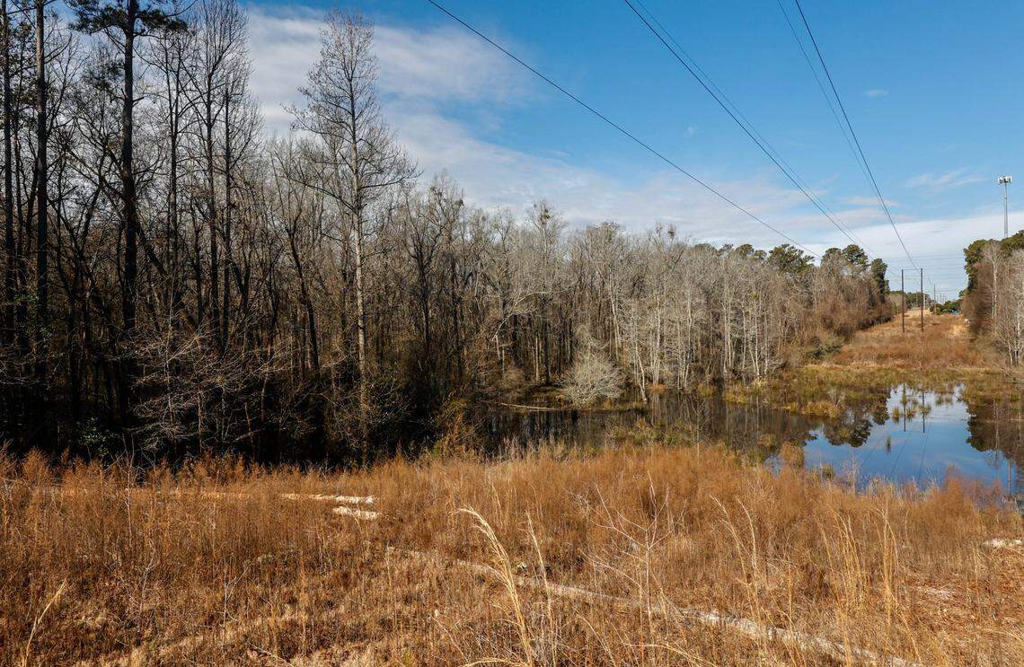 A utility easement bisects a tract of land on the Sixmile Creek that has been in the Taylor family for multiple generations.The family is in the process of selling the land to the state to become a 600 acre addition to the Congaree Creek Heritage Preserve.