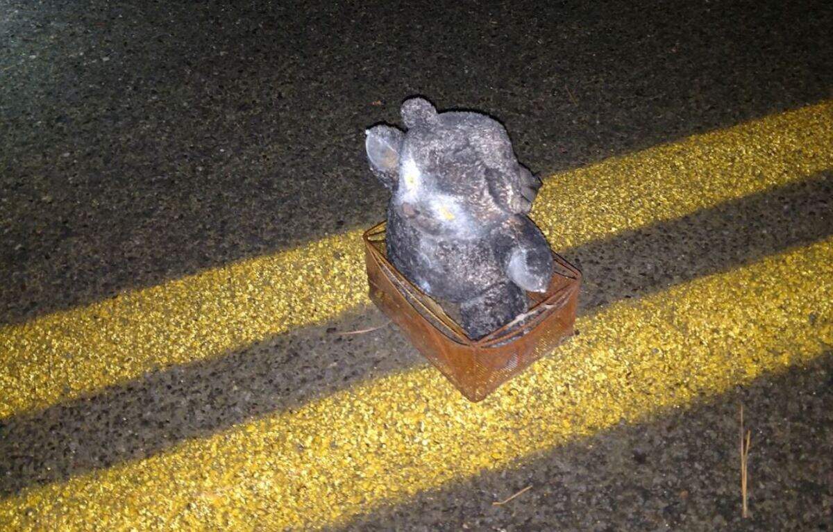The FBI says convicted terrorist Wesley “Dallas” Ayers left this teddy bear concealing a bomb on a road in South Carolina.