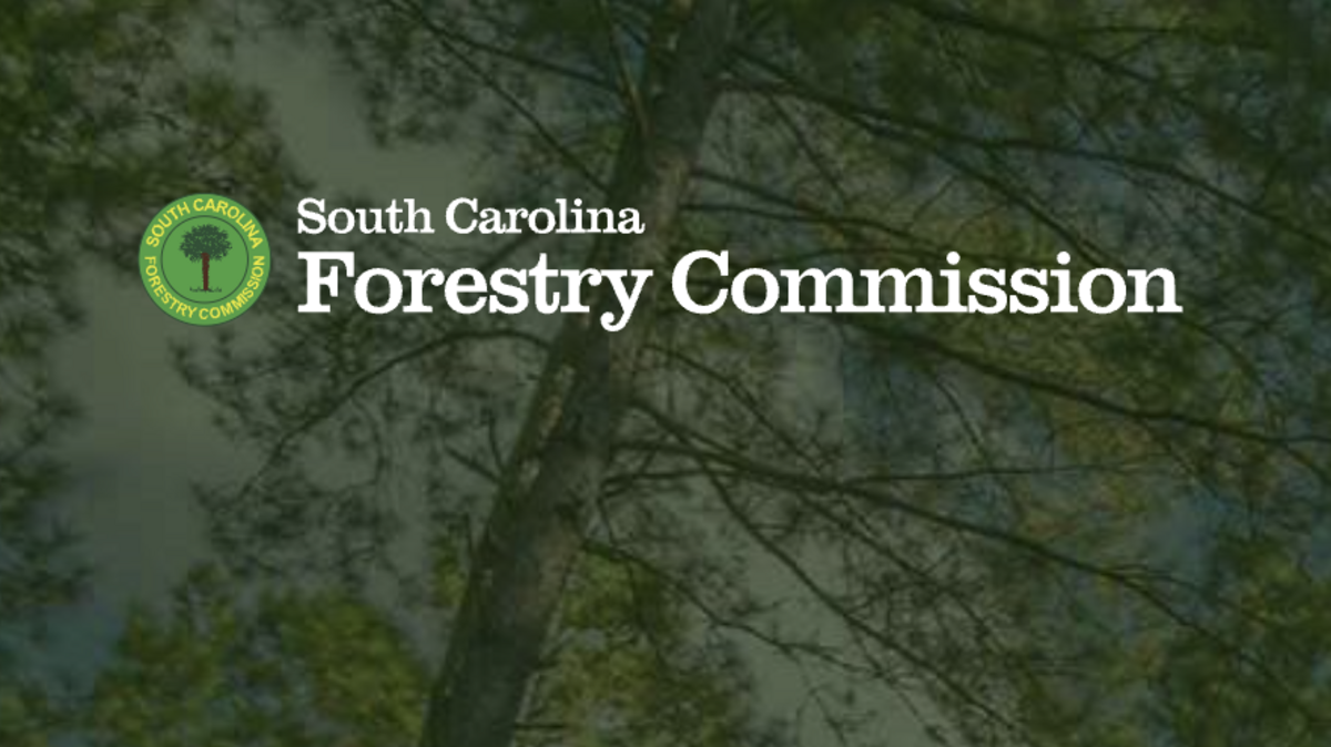 SC Forestry Commission logo