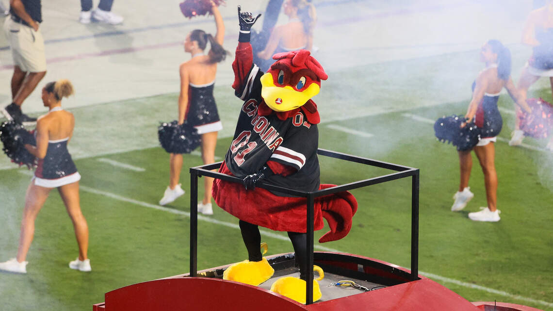 Flowers for Cocky! South Carolina’s top bird elected to Mascot Hall of Fame