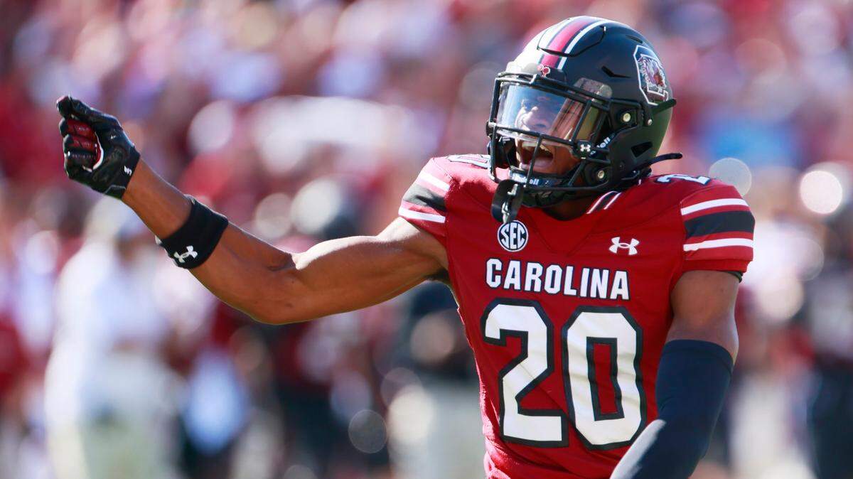 South Carolina tight end Michael Smith (20) won’t practice this spring.
