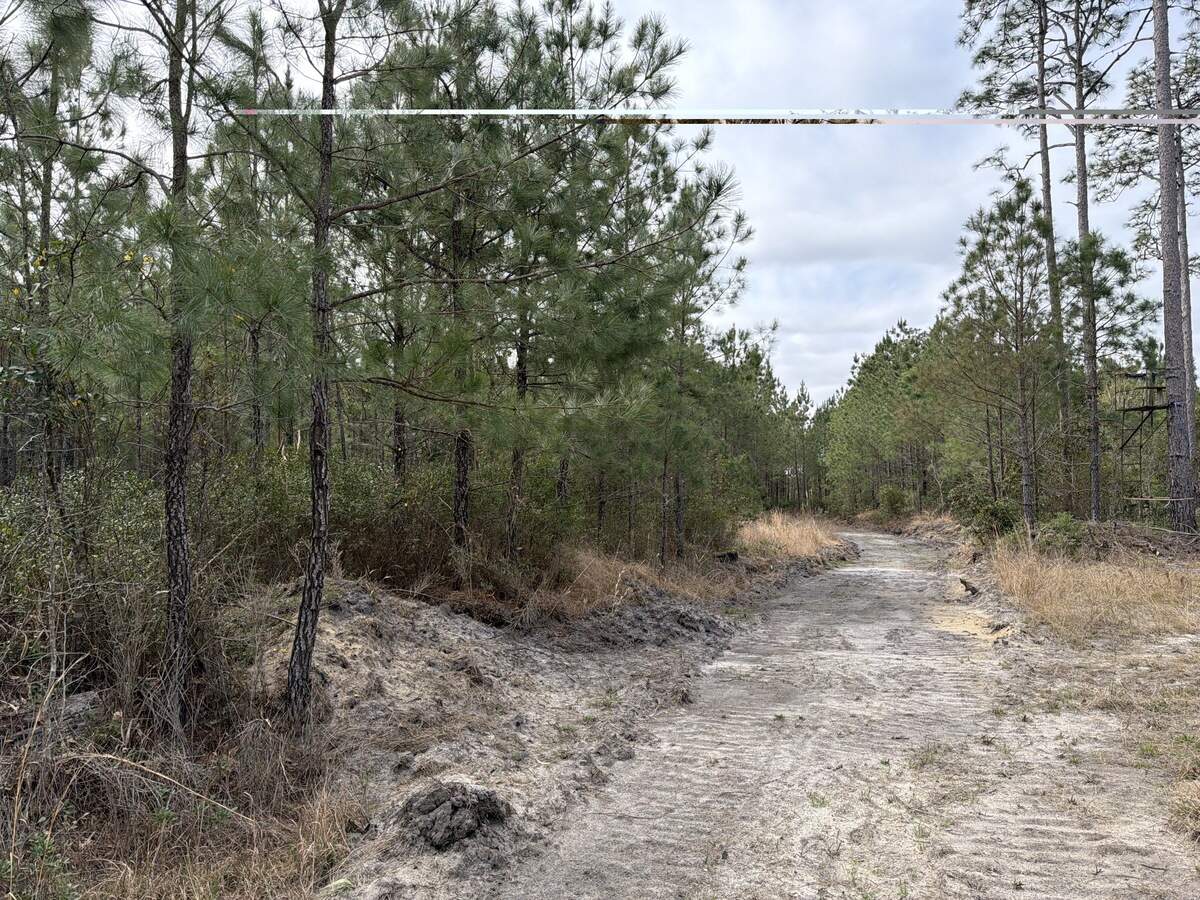 This area near McClellanville and the Cape Romain National Wildlife Refuge in South Carolina is part of 1,400 acres being protected from development that is sprawling up the coast from Charleston.
