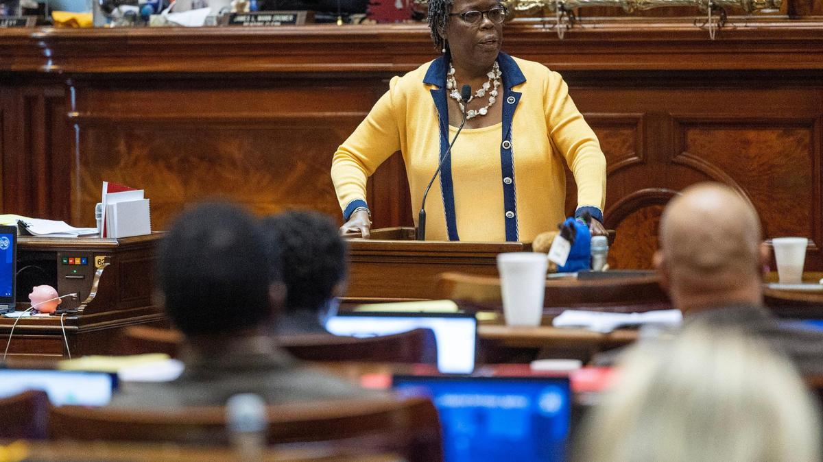State Rep. Gilda Cobb-Hunter, D-Orangeburg, adamantly opposed state Rep. Bill Sandifer’s motion to amend a suicide prevention bill with a House energy proposal.