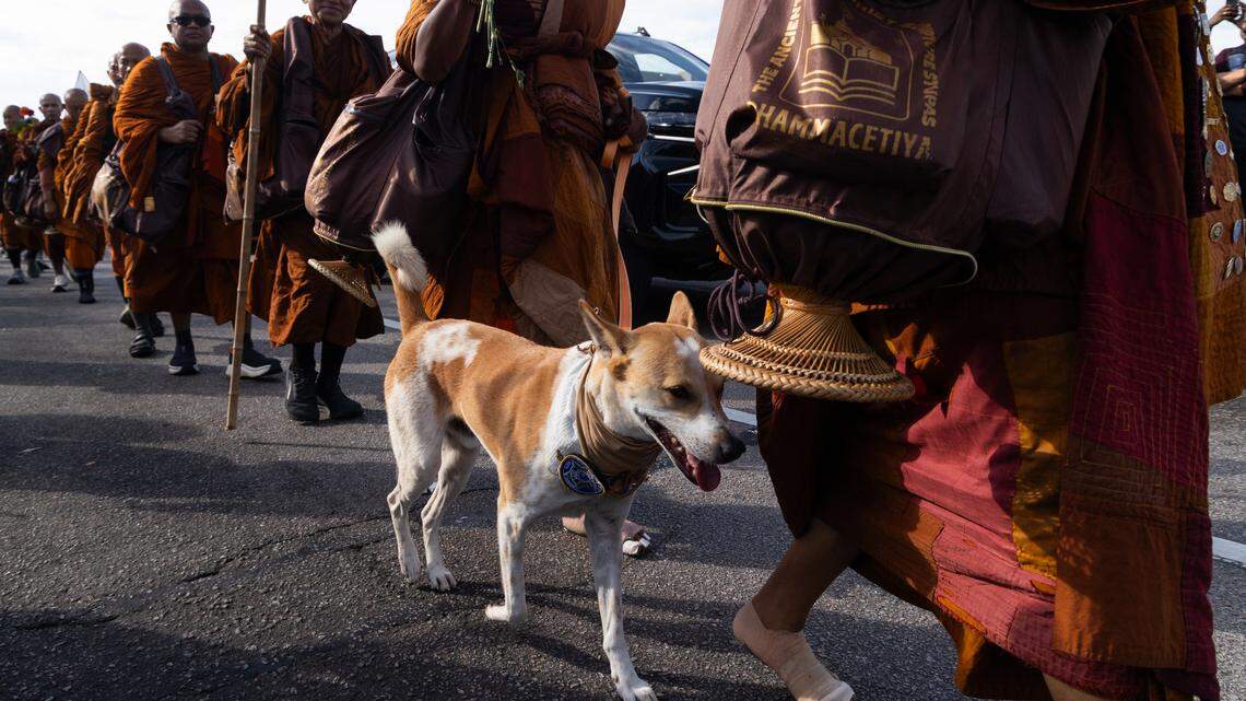 Buddhist monks walk through Columbia, South Carolina on Saturday, Jan. 10, 2026. Thousands of people joined the walk to support the monk’s message of peace.