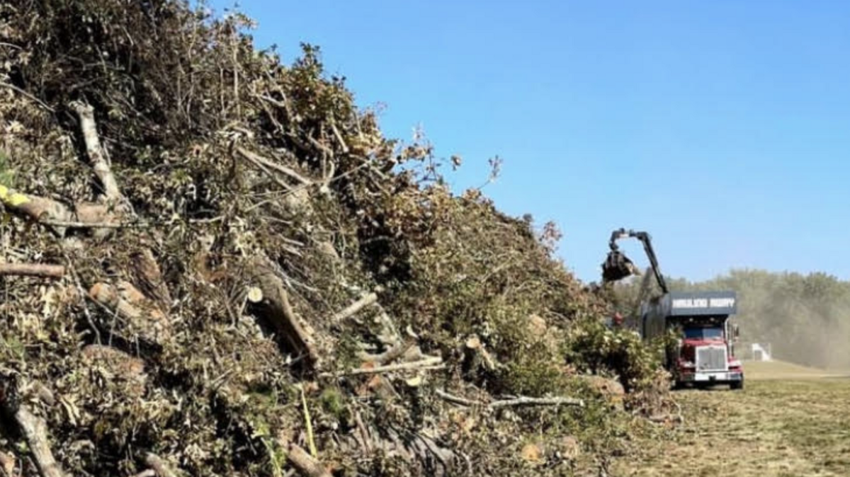 Greenville contractors have hauled some 57,000 cubic yards of debris since Helene downed trees.